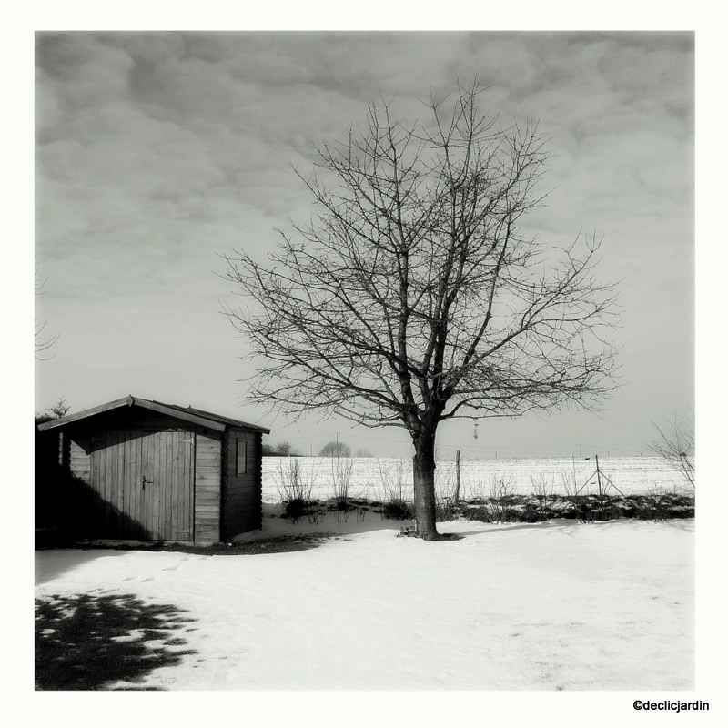 b&w landscape.jpg